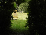 Oude Algemene Begraafplaats